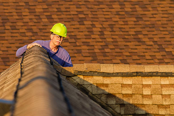 Roof Gutter Cleaning in Fruitridge Pocket, CA